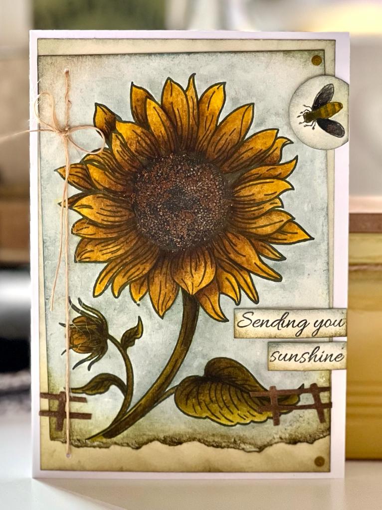 Sunflower Stamp & Die Set - Clear Stamps With Metal Cutting Dies For Card Making